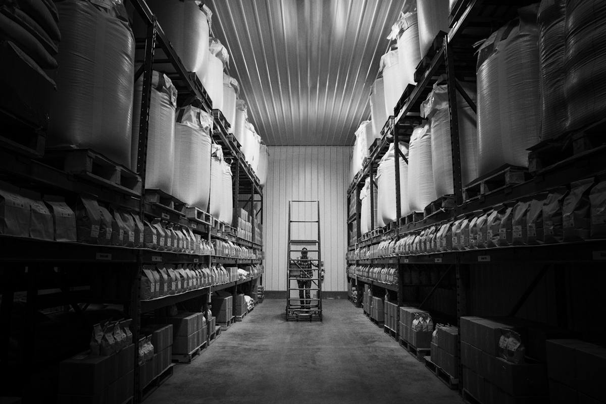Warehouse shelving